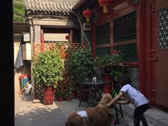 -百好乐宠物友好餐厅(朝外大街店)