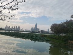 -月湖风景区