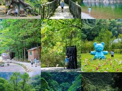 -龙湾潭国家森林公园