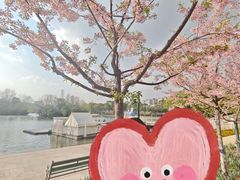 -新江湾城公园