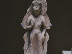 -深圳博物馆