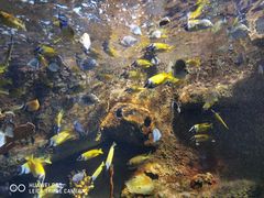 -太平洋海底世界