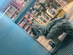-FAELING PETS美天灵宠物(合生汇店)