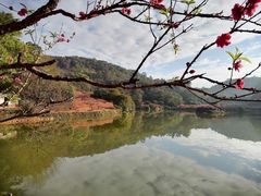 -南国桃园旅游度假区