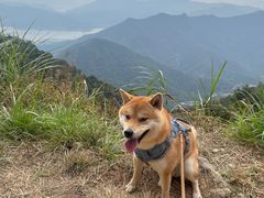 -梧桐山风景名胜区