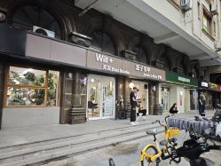-Will+ Hair Studio