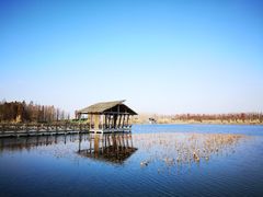 -溱湖国家湿地公园