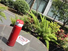 -上海交通大学医学院附属第九人民医院(浦东院区)