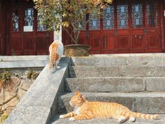 -采石矶景区