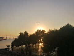 -宝安西湾红树林湿地公园