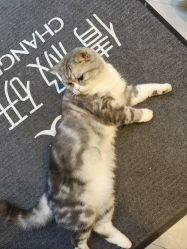 -倩极·精研痘敏肌管理