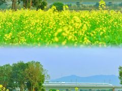 -光明小镇欢乐田园