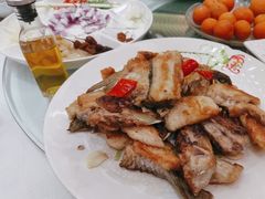 -聚福山莊·寻味顺德(北滘店)