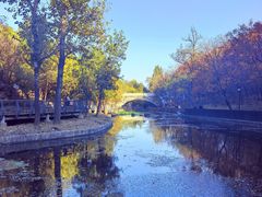 -白水寺森林公园