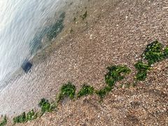 -星海广场