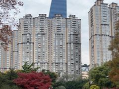 -中山公园
