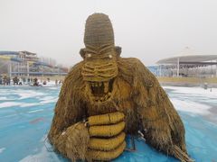 -海盗传奇水世界