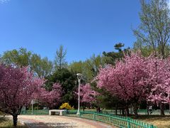 -燕郊植物园