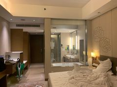 -南阳建业森林半岛假日酒店