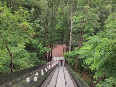 -黄金寨原生态旅游区