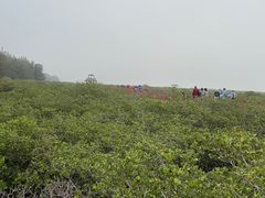 -北海金海湾红树林生态旅游区