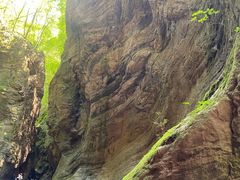 -牛背梁国家森林公园