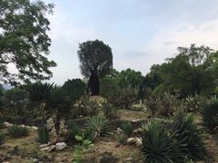 -Club Med地中海俱乐部·桂林度假村