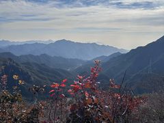 -大岭沟猕猴桃谷风景区