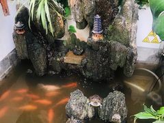 -丽江庭院·云南野生菌·海鲜火锅(鼓楼四合院店)