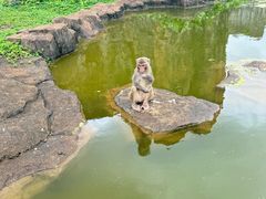 -海南热带野生动植物园