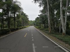 -福建鲤鱼洲酒店