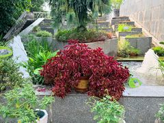 -广州神农草堂中医药博物馆