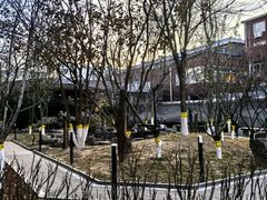 -北京协和医院(西单院区)