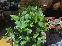 -九老汉·川渝江湖菜(合川路2店)