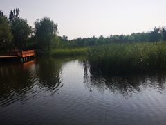 -张家湾公园