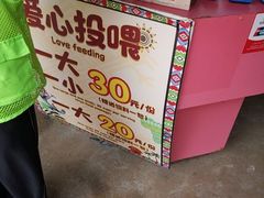 -灵玲国际马戏城