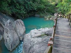 -广州白江湖森林公园