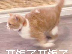 -西郊国际农产品交易中心