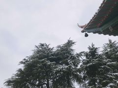 -高旻寺
