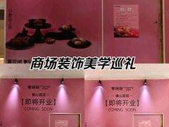 -岭南站NOVA