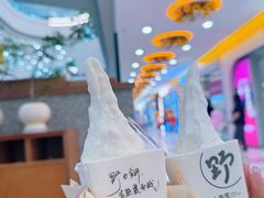 -野人先生Gelato(上海长宁龙之梦店)