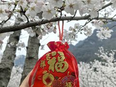 -高岚大峡谷旅游度假区