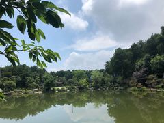 -铁山坪森林公园