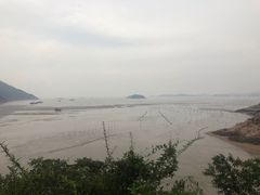 -北岐滩涂