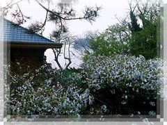 -棒棰岛宾馆景区