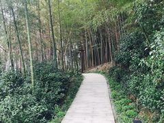 -天目湖山水园