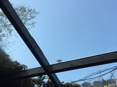 -VOYAGE COFFEE(北锣鼓巷店)