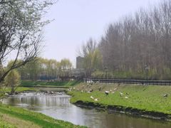 -黛秀湖公园