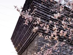-广富林郊野公园