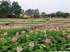 -保利石象湖景区